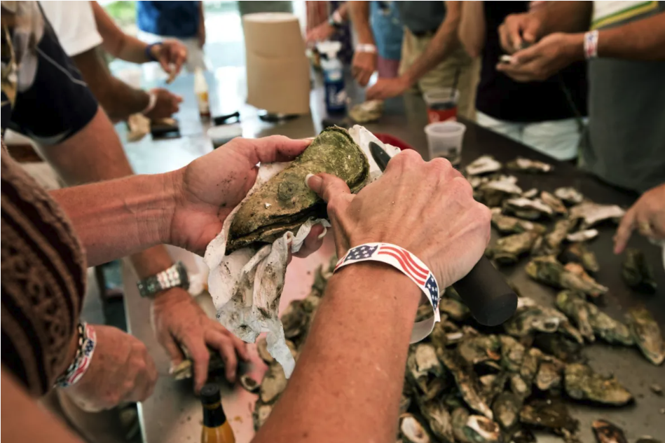 Oyster Crush 2024